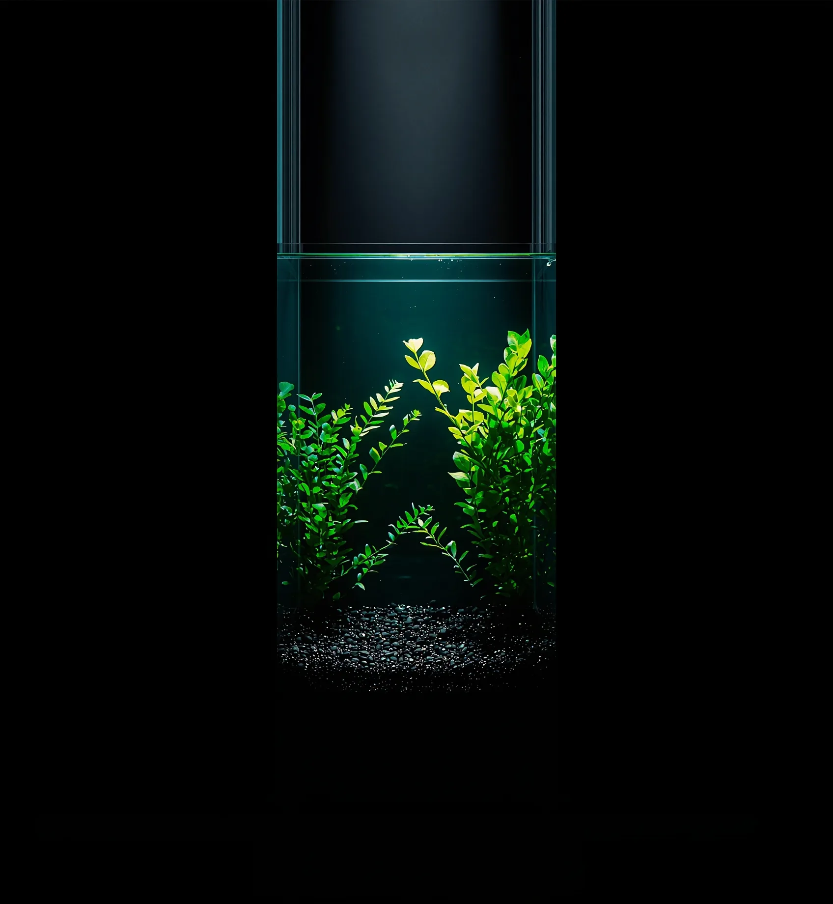 Spacious planted rectangular betta tank seen from low, deep teal water column with open swim room fading to dark substrate.